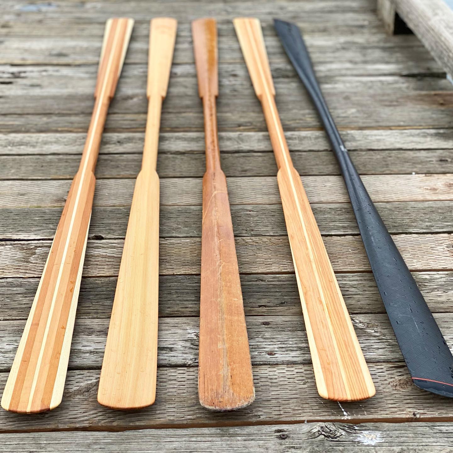 wooden and carbon fiber greenland paddles lined up on a dock