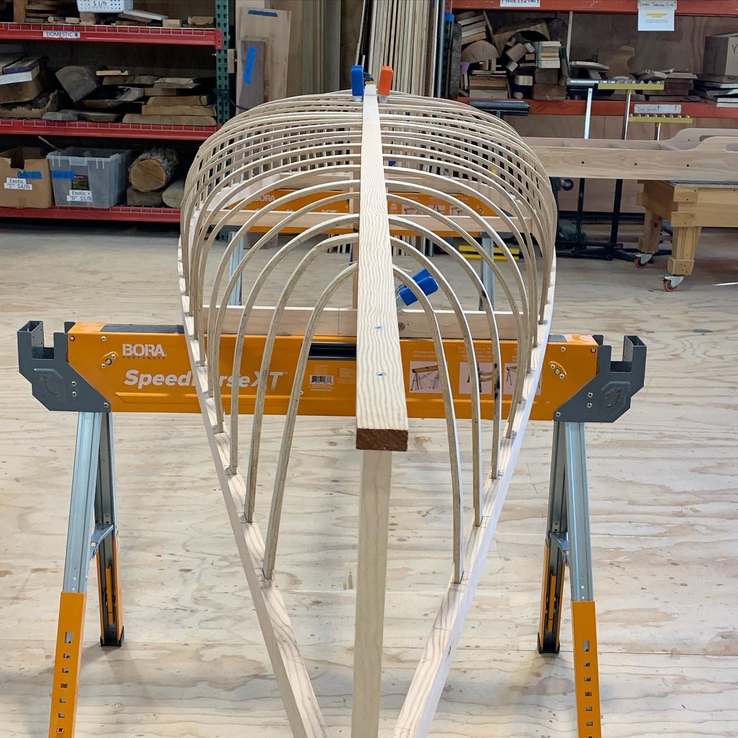 looking down the length of a canoe frame with newly-bent ribs in place